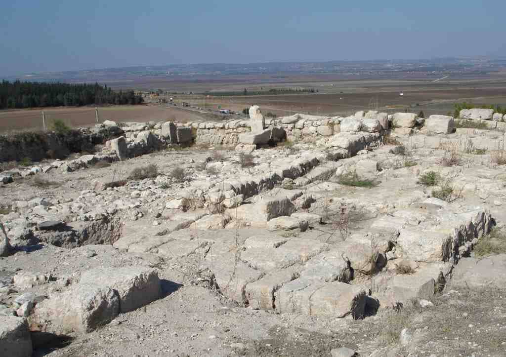 Mejido